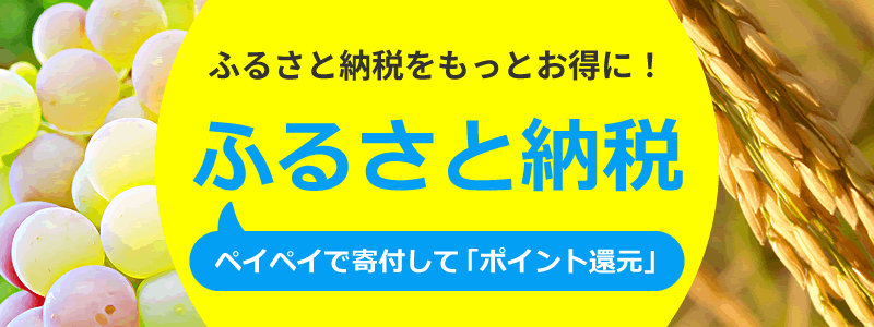 ふるさと納税をもっとお得に！ペイペイで寄付してポイント還元を活用しよう