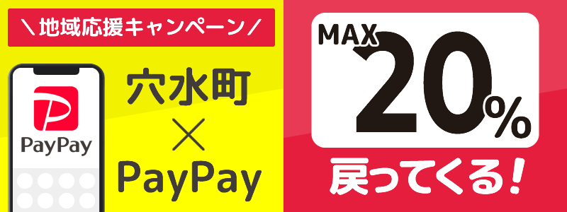 石川県穴水町でPayPayキャンペーン終了【あなたのまちを応援プロジェクト】