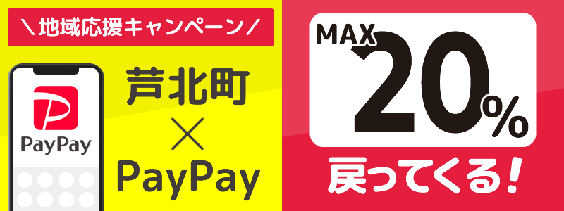 芦北町でPayPayキャンペーン終了【あなたのまちを応援プロジェクト】