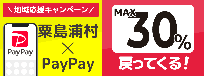 新潟県粟島浦村でPayPayキャンペーン終了【あなたのまちを応援プロジェクト】