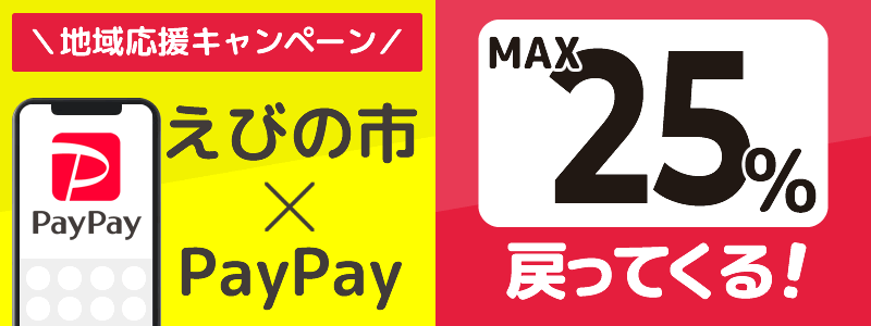 宮崎県えびの市でPayPayキャンペーン終了【あなたのまちを応援プロジェクト】