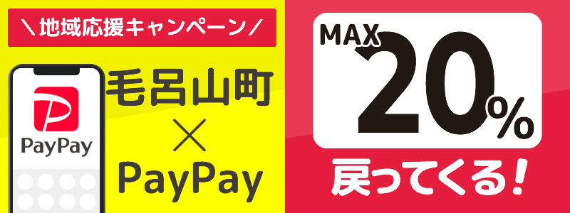 埼玉県毛呂山町でPayPayキャンペーン終了【あなたのまちを応援プロジェクト】