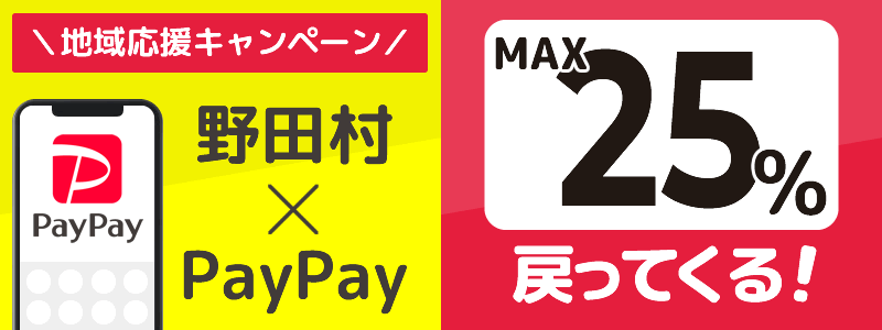 野田村でPayPayキャンペーンを開催中（2024年11月）：対象店舗の探し方を紹介