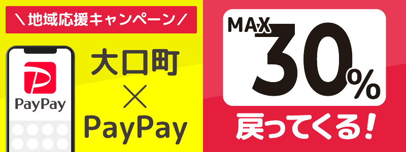 大口町でPayPayキャンペーン終了【あなたのまちを応援プロジェクト】