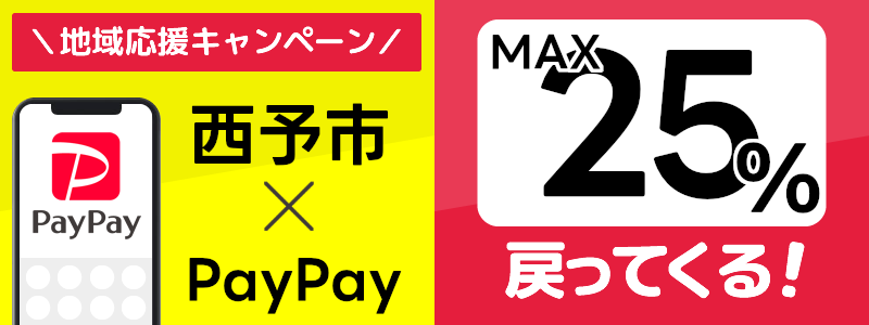 愛媛県西予市でPayPayキャンペーン終了【あなたのまちを応援プロジェクト】