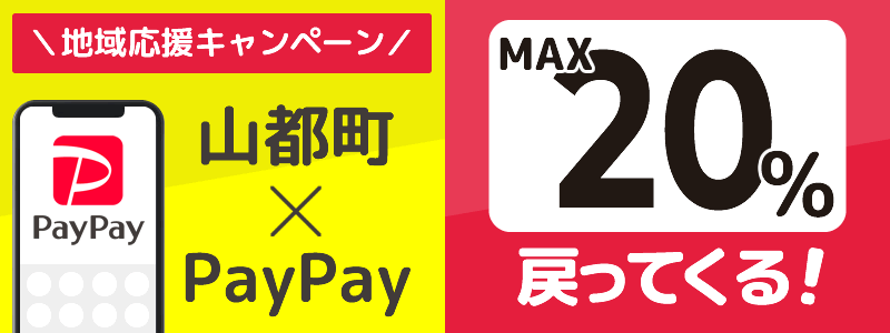 山都町でPayPayキャンペーン終了【あなたのまちを応援プロジェクト】